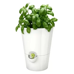 EMSA FRESH HERB Kräutertopf 13x17 Cm, Weiß, 521244 -Küchenbedarf Geschäft 193f74bb007bac2a16c2fde1dd6ad19d
